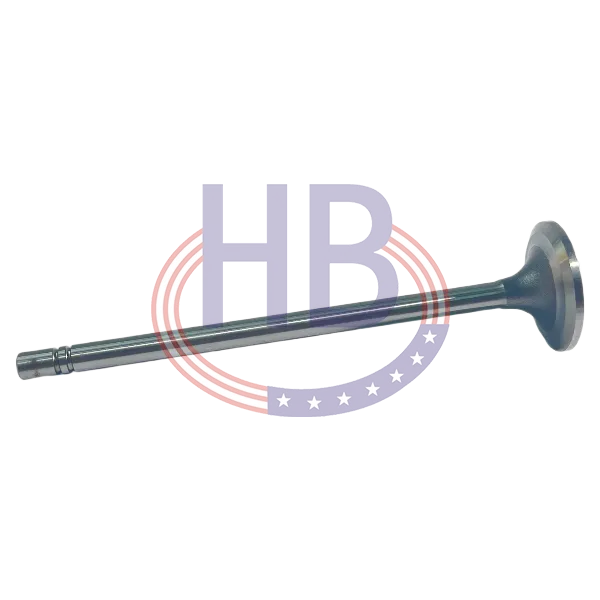 Inlet Valve