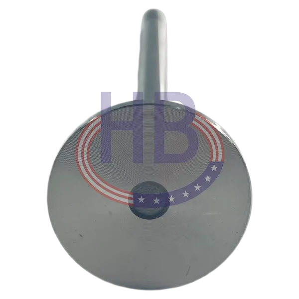 Inlet Valve