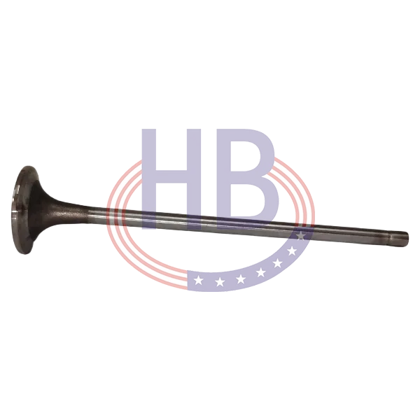 Intake Valve