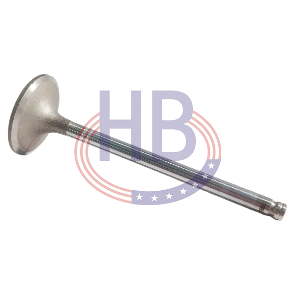 Intake Valve