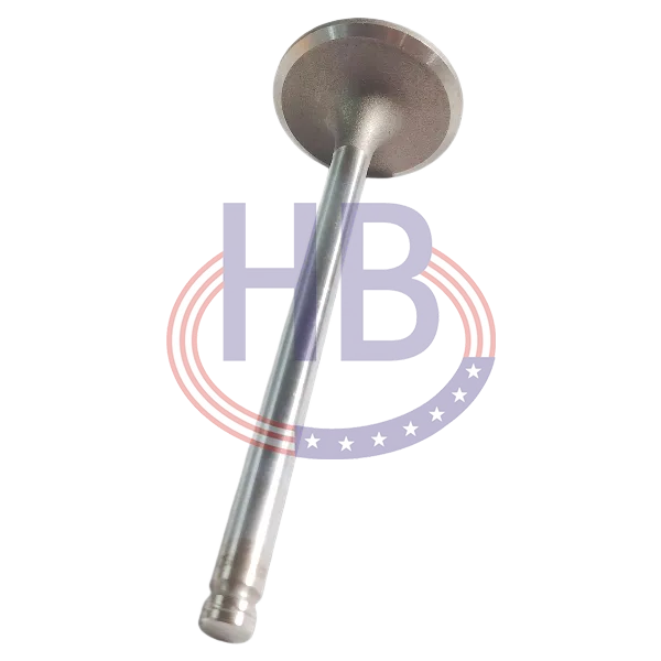 Intake Valve