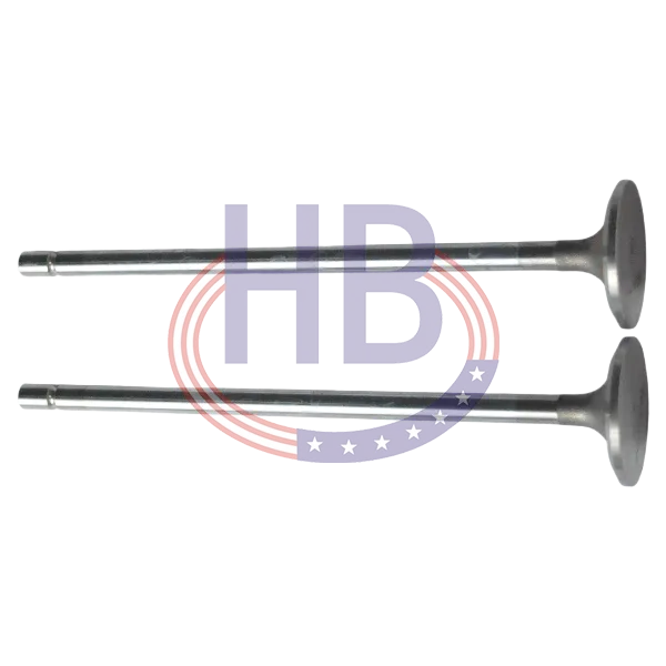 Intake Valve
