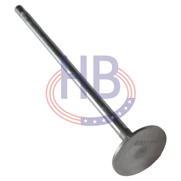Intake Valve